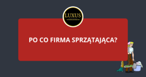 LUXUS clean sprzatanie gdynia wpis